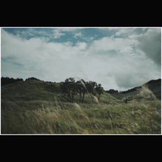 砥峰高原 | Tonomine highland

@kamikawa_navi 
#ずっと推したい神河町 
#神河町ショート動画コンテスト2025