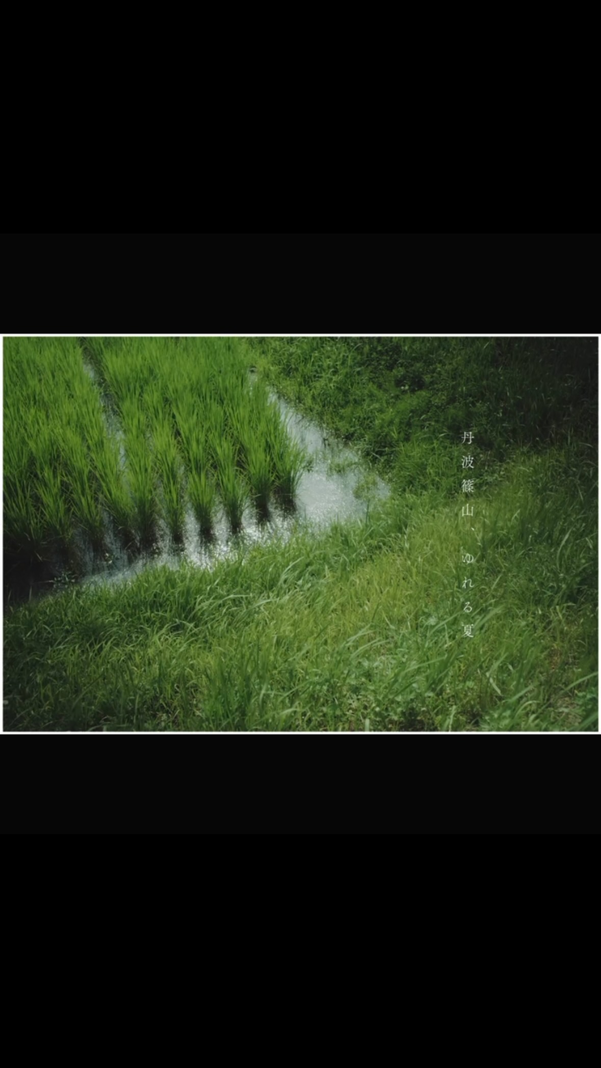 丹波篠山 Tambasasayama