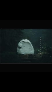 神戸六甲ミーツ・アート2025 | Rokko meets art 2025