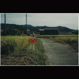 明日香村 | Asuka village