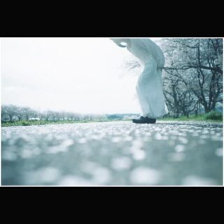 淡光のまにまに
model
@miku_39milk