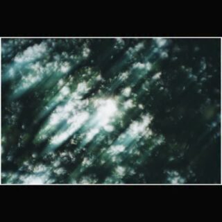 駆ける秋、残像