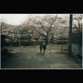 sakura 2026

cast
@miku_39milk